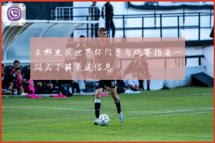 去哪里买世界杯门票与观赛指南一站式了解渠道信息