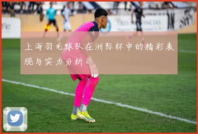 上海羽毛球队在洲际杯中的精彩表现与实力分析