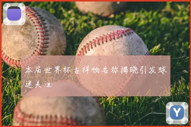 本届世界杯吉祥物名称揭晓引发球迷关注