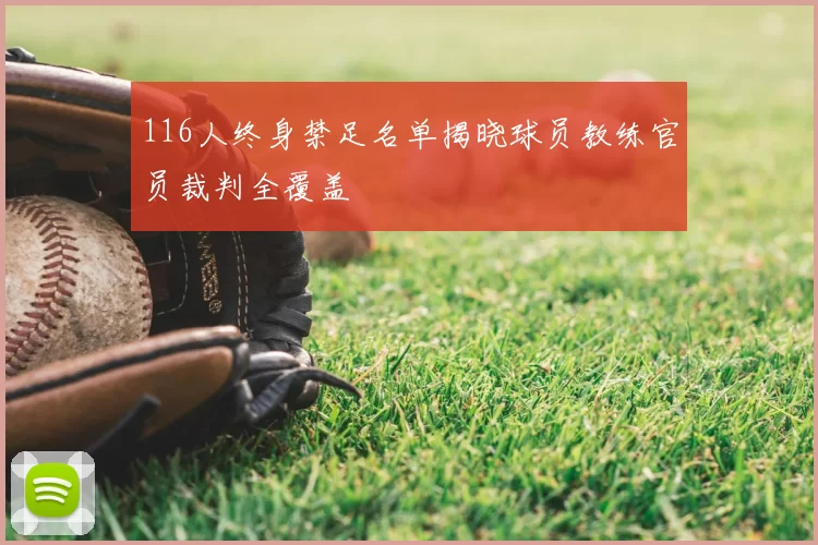 116人终身禁足名单揭晓球员教练官员裁判全覆盖