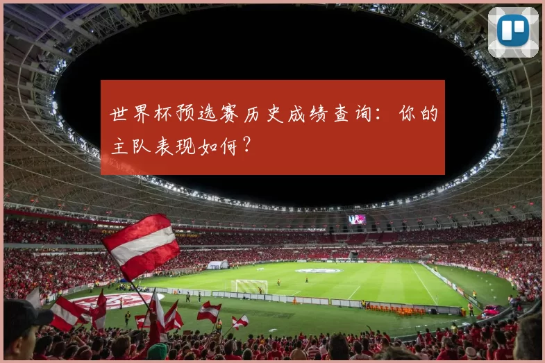 世界杯预选赛历史成绩查询:你的主队表现如何?