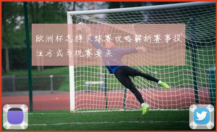 欧洲杯怎样买球赛攻略解析赛事投注方式与观赛要点