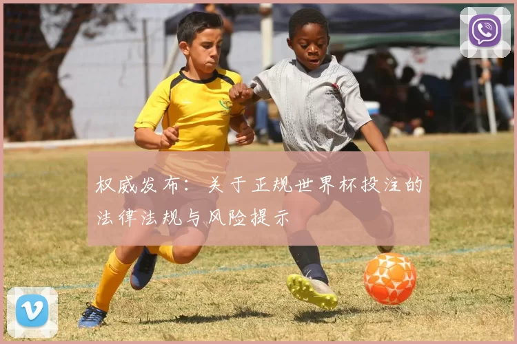 权威发布：关于正规世界杯投注的法律法规与风险提示