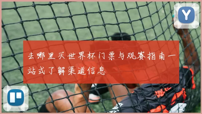 去哪里买世界杯门票与观赛指南一站式了解渠道信息