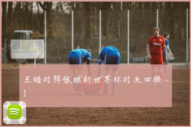 王皓对阵张继科世界杯对决回顾 _1