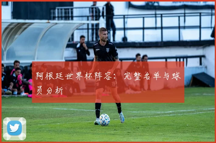 阿根廷世界杯阵容：完整名单与球员分析